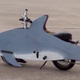 Illustration for article titled A Ride-On Dolphin Is The Best Pit Bike Ever